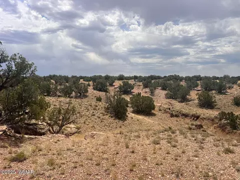 565 County Rd 5270, Concho, AZ 85924 photo 8