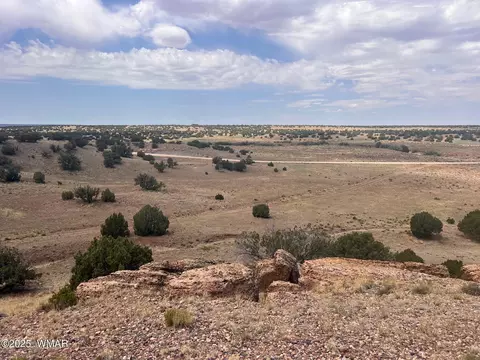 565 County Rd 5270, Concho, AZ 85924 photo 10