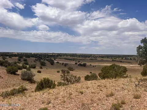 565 County Rd 5270, Concho, AZ 85924 photo 9