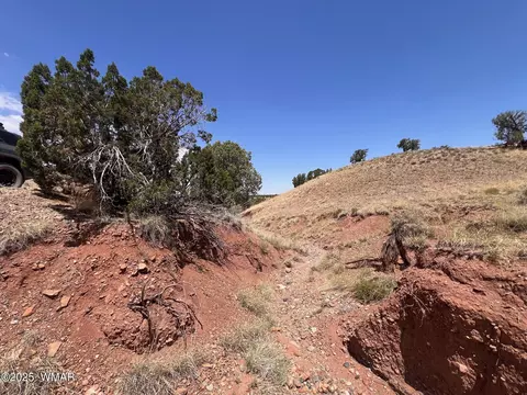 565 County Rd 5270, Concho, AZ 85924 photo 7