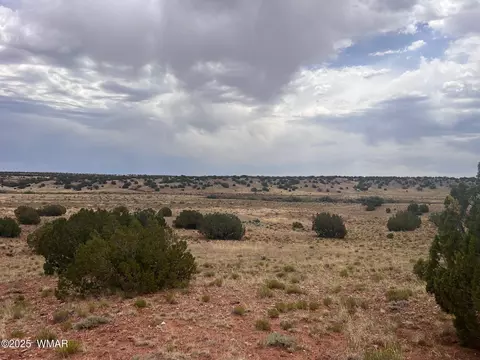 565 County Rd 5270, Concho, AZ 85924 photo 14