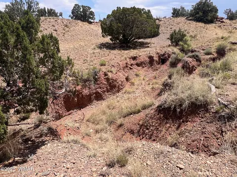 565 County Rd 5270, Concho, AZ 85924 photo 6