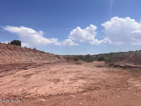 565 County Rd 5270, Concho, AZ 85924 photo 17