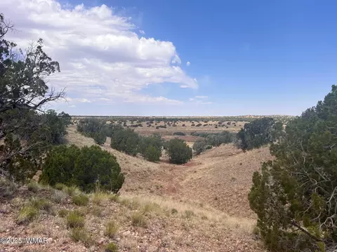 565 County Rd 5270, Concho, AZ 85924 photo 3