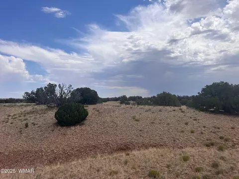565 County Rd 5270, Concho, AZ 85924 photo 11