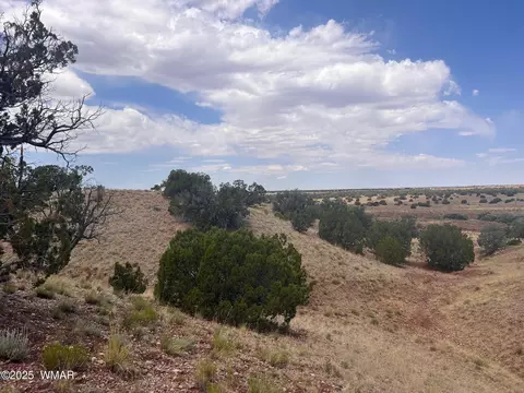 565 County Rd 5270, Concho, AZ 85924 photo 12