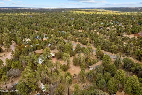 2193 Lobo Trl, Overgaard, AZ 85933 photo 24