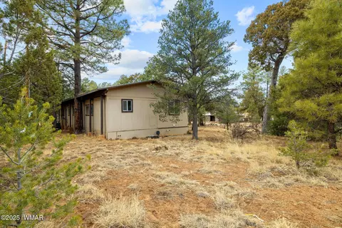 2193 Lobo Trl, Overgaard, AZ 85933 photo 18