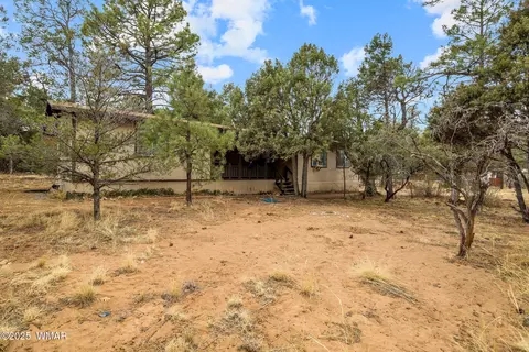 2193 Lobo Trl, Overgaard, AZ 85933 photo 28