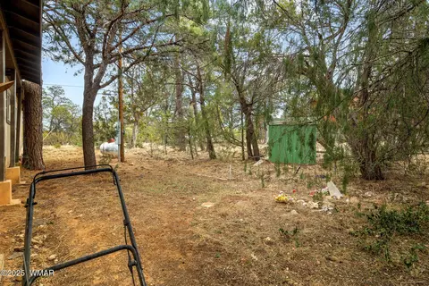 2193 Lobo Trl, Overgaard, AZ 85933 photo 20