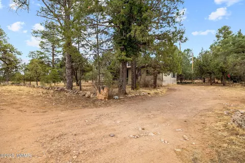 2193 Lobo Trl, Overgaard, AZ 85933 photo 26