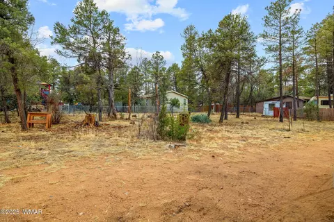 2193 Lobo Trl, Overgaard, AZ 85933 photo 19