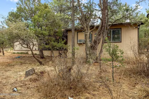 2193 Lobo Trl, Overgaard, AZ 85933 photo 29