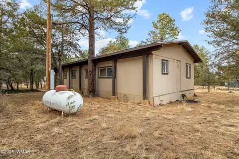 2193 Lobo Trl, Overgaard, AZ 85933 photo 17