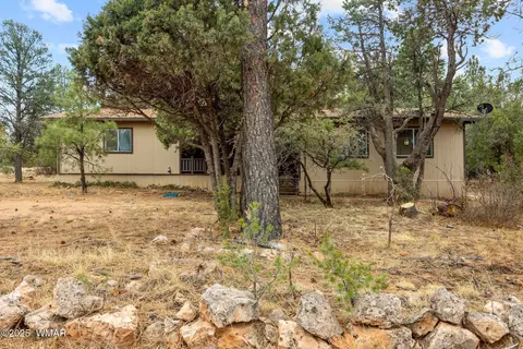 2193 Lobo Trl, Overgaard, AZ 85933 photo 27