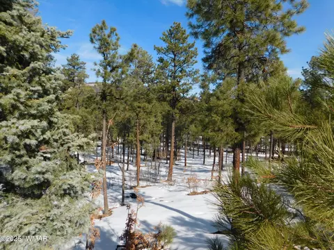 lot29 Eric Ln, Alpine, AZ 85920 photo 2