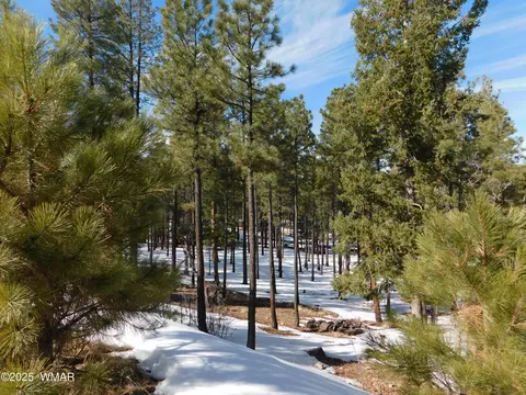 lot29 Eric Ln, Alpine, AZ 85920 photo 4