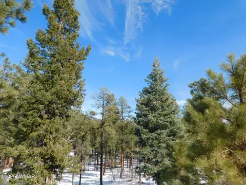 lot29 Eric Ln, Alpine, AZ 85920