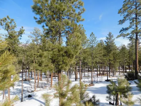 lot29 Eric Ln, Alpine, AZ 85920 photo 3