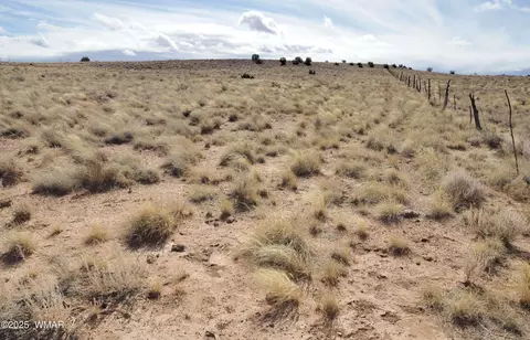 8037 Uttecht Trl, Snowflake, AZ 85937 photo 3