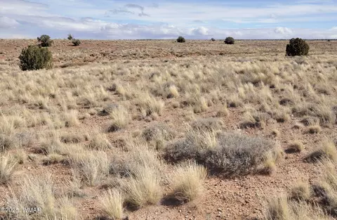 8037 Uttecht Trl, Snowflake, AZ 85937 photo 7