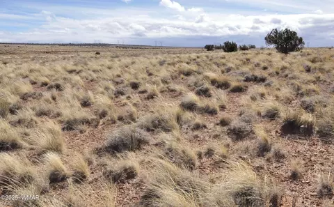 8037 Uttecht Trl, Snowflake, AZ 85937 photo 8