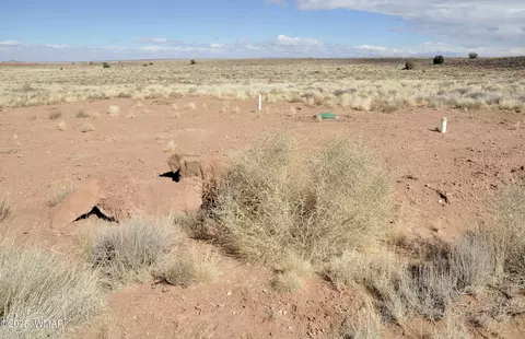 8037 Uttecht Trl, Snowflake, AZ 85937 photo 5