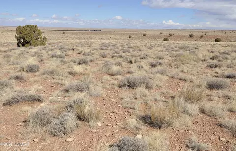 8037 Uttecht Trl, Snowflake, AZ 85937 photo 10