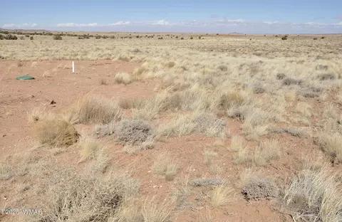8037 Uttecht Trl, Snowflake, AZ 85937 photo 6