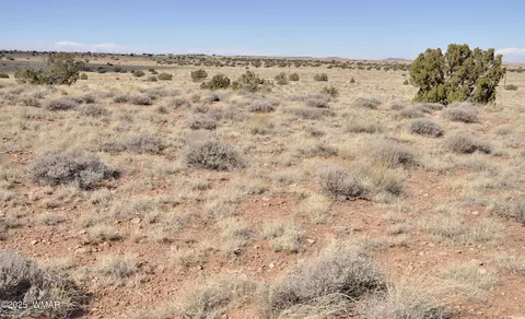 8037 Uttecht Trl, Snowflake, AZ 85937 photo 19