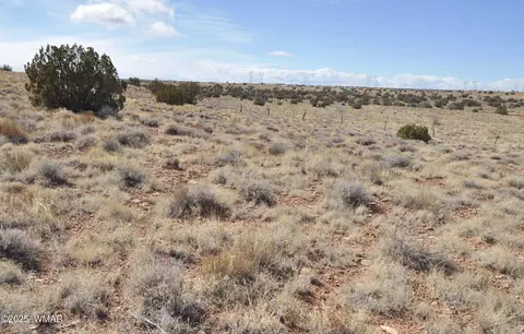 8037 Uttecht Trl, Snowflake, AZ 85937 photo 9