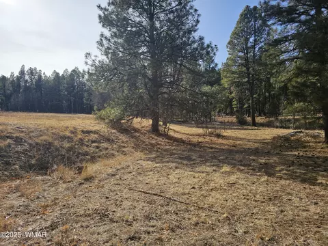 528 530 Summit Dr, Show Low, AZ 85901