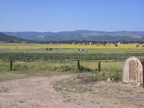 tbd E Fleetwood Dr, Springerville, AZ 85938
