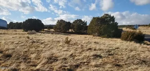 63 County Road 8019, Concho, AZ 85924 photo 6