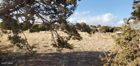 63 County Road 8019, Concho, AZ 85924 photo 10