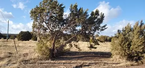 63 County Road 8019, Concho, AZ 85924 photo 2