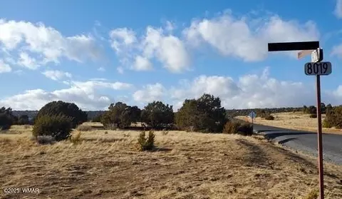 63 County Road 8019, Concho, AZ 85924 photo 5