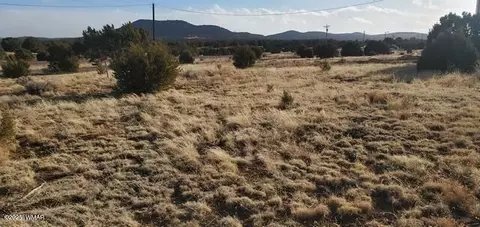 63 County Road 8019, Concho, AZ 85924 photo 3