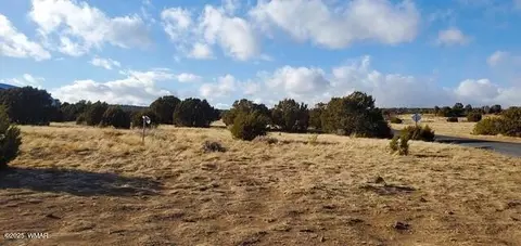 63 County Road 8019, Concho, AZ 85924 photo 4