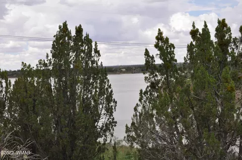 8289 Arrowhead Pl, Show Low, AZ 85901