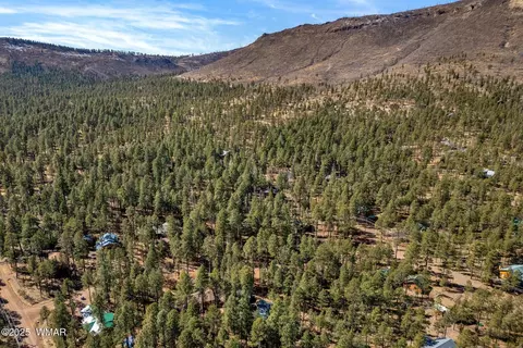 View/Area - 5 2069, Alpine, AZ 85920 photo 6 of 6