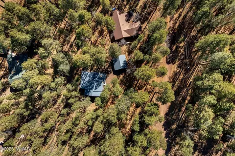 View/Area - 5 2069, Alpine, AZ 85920 photo 2 of 6