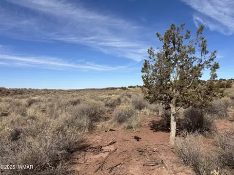 9659 E Juniper Berry Trl, Snowflake, AZ 85937
