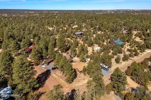 2954 Pine Rim Rd, Overgaard, AZ 85933 photo 31