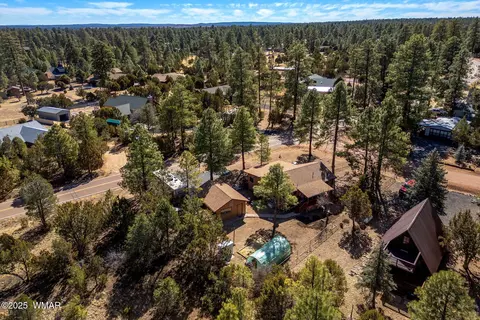 2954 Pine Rim Rd, Overgaard, AZ 85933 photo 34