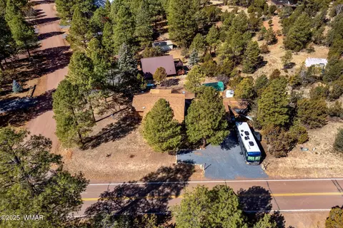 2954 Pine Rim Rd, Overgaard, AZ 85933 photo 32