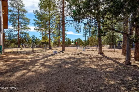 2954 Pine Rim Rd, Overgaard, AZ 85933 photo 29