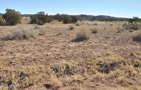 3554 Dia Estrella Rd, Snowflake, AZ 85937