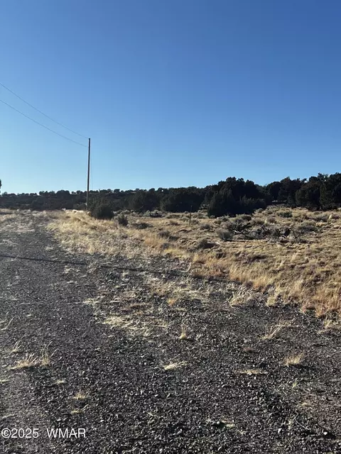 38 8626, Concho, AZ 85924 photo 4