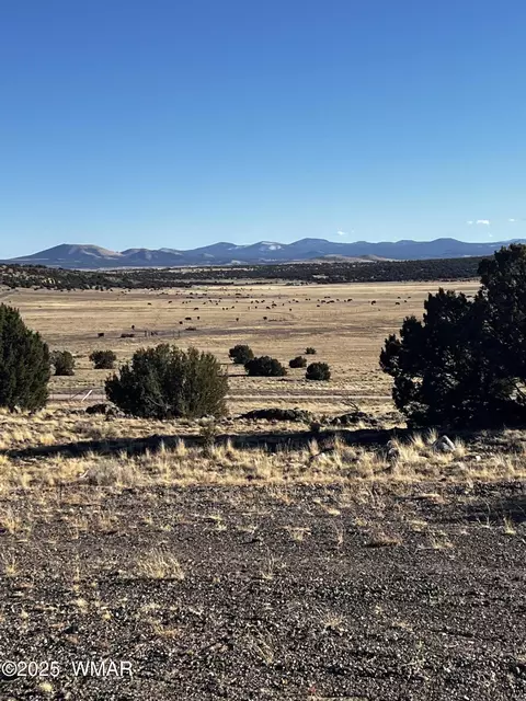 38 8626, Concho, AZ 85924 photo 3